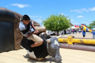 Mechanical Bull riding in Texas are provided by B-amused which is owned and operated for several years by a native Texan. Our Mo Mechanic Bull riding is Fully Insured and offers a safer way to ride a bull other than the real deal. The proper way to mechanical bull ride is to get close to the rope lock on with your legs. Once the bull starts to move use your hips to counter balance the movement. The operator maintains the tempo and time to be age and skill level appropriate. It also has an inflated landing area to protect you when you do fall off.It’s all the fun without joining a rodeo. The Mechanical Bull rentals only requires a 20′ x 20′ 10′ head room and 2-110 volt outlets. The various pieces fit easily through the average door or gate making it very flexible to your space and accessibility needs.